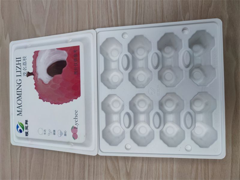 珠海纸托2